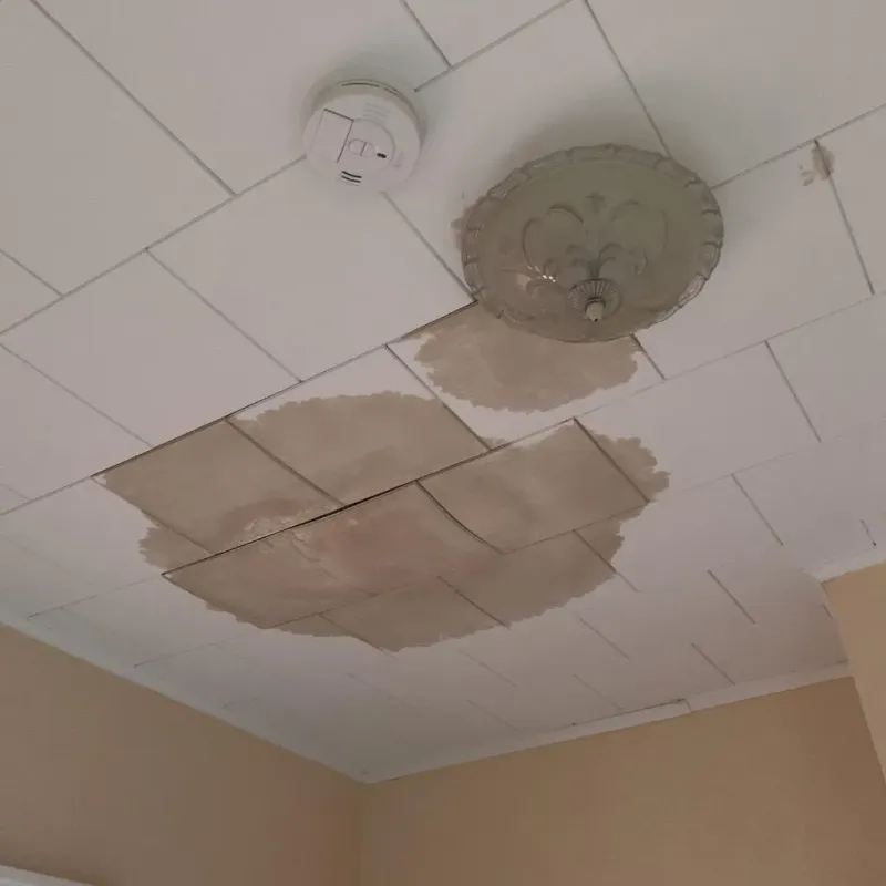 Ceiling Water Damage Repair in Port Neches, TX